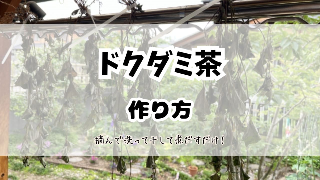 どくだみ茶の作り方