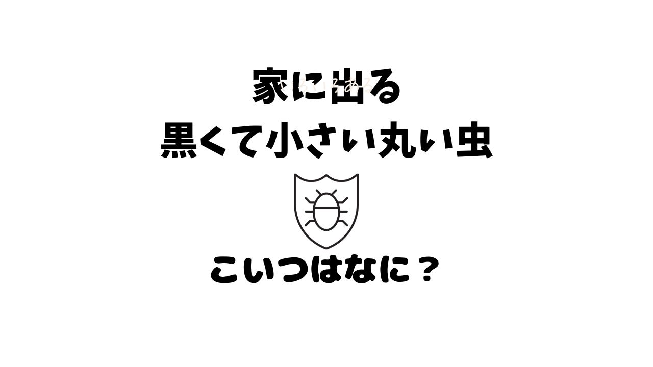 黒い小さい丸い虫の正体と対策