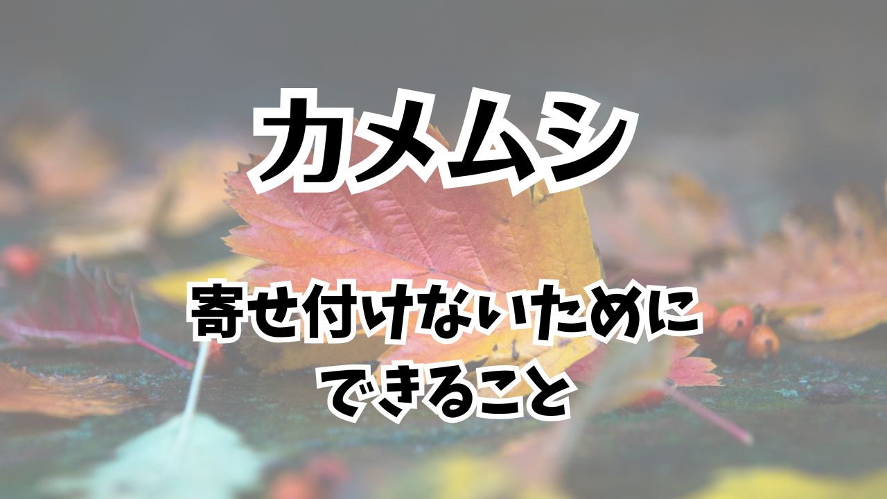 カメムシを寄せ付けないためにできること